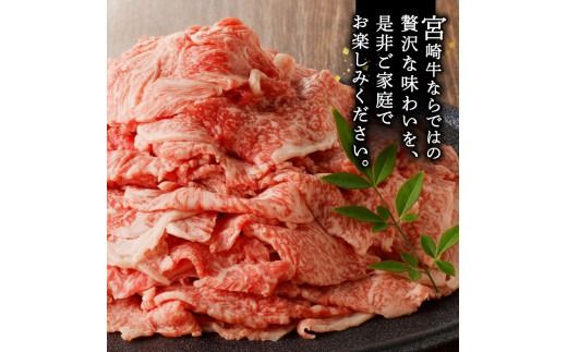 宮崎牛小間切れ900g(450g×2ﾊﾟｯｸ) N061-YB334