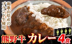 牛肉 熊野牛 カレー 4食セット 株式会社Meat Factory《30日以内に出荷予定(土日祝除く)》和歌山県 日高川町 熊野牛 牛 和牛 焼肉 希少部位 ミスジ 焼肉---wshg_mfy37_30d_24_12000_4p---