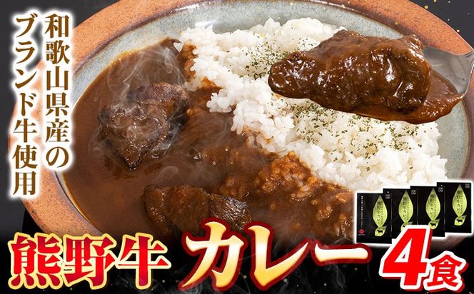 ya̎R쒬z F싍 J[ 4HZbg Meat Factorys30ȓɏoח\(yj)ta̎R 쒬 F싍  a ē 󏭕 ~XW ē---wshg_mfy37_30d_24_12000_4p---