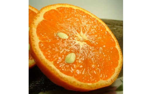 カラマンダリン 約5kg/サイズおまかせ　※2026年4月上旬～2026年5月上旬頃に順次発送予定(お届け日指定不可)　紀伊国屋文左衛門本舗　【ntbt470A】