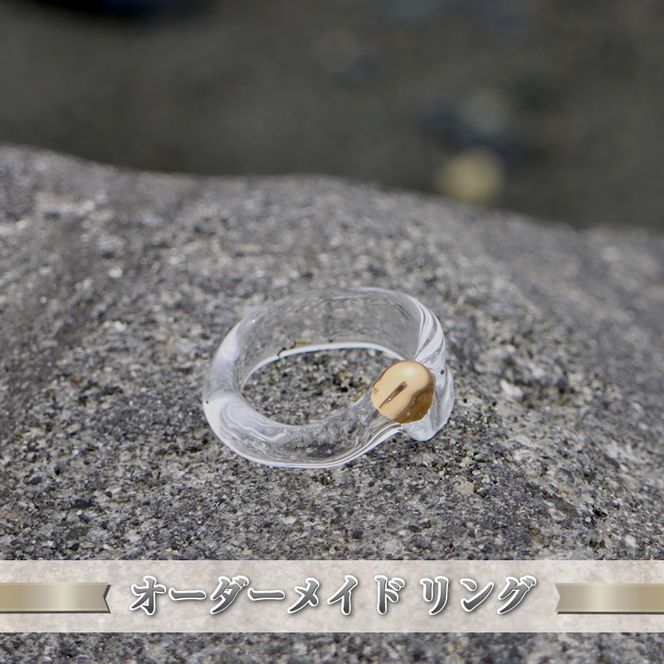 y_ސ쌧钬z159-2053-08@I[_[Ch Oy _ސ쌧 钬 fB[XWG[ t@bV a j Mtg 蕨 t@bV z