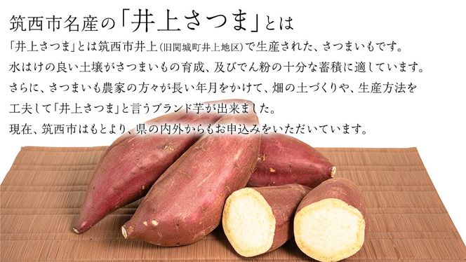 【 塚田商店 】 井上さつま 「 紅はるか 」 5kg ( Sサイズ ) 新物 ブランド芋 茨城県産 筑西市産 さつまいも サツマイモ いも 芋 イモ [BD035ci]