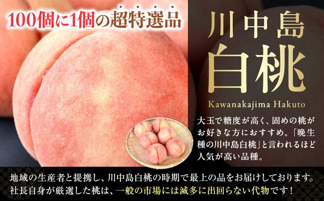 ［2026年発送分］［桃！数量限定先行予約！］川中島白桃 約2kg 6個入 100個に1個の厳選品 こだわり農家厳選！［KG33］ 303446_XM90033