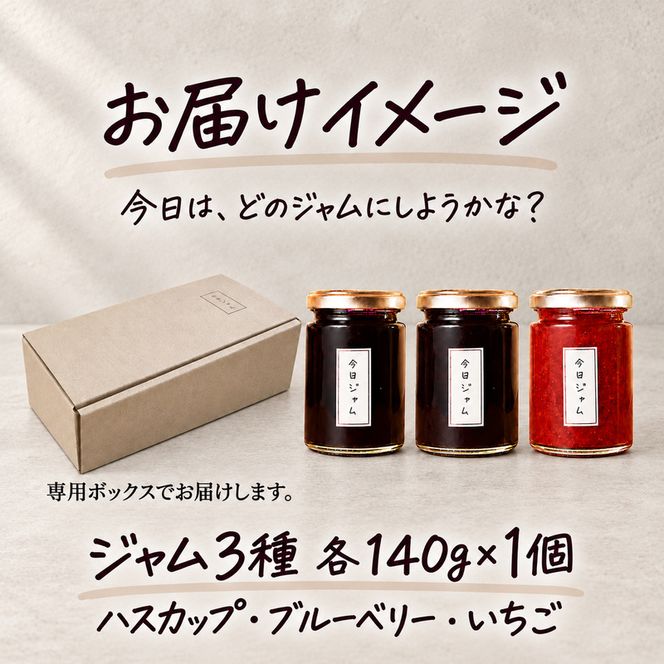 今日ジャム3種セット 各1個 ハスカップ ブルーベリー いちご | 無添加 北海道産 ギフト 朝食 パン トースト ヨーグルト 詰め合わせ 食べ比べ ご褒美 手作り デザート 送料無料 北海道 滝川市-