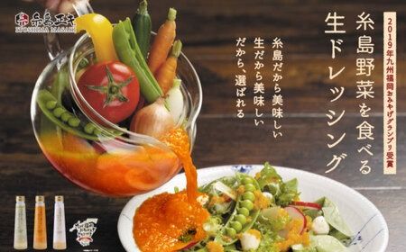 糸島野菜を食べる生ドレッシング 甘夏 3本 セット  糸島市 / 糸島正キ [AQA041] 甘夏 フルーツ サラダ ドレッシング 季節限定 すりおろし 調味料 たれ ソース
