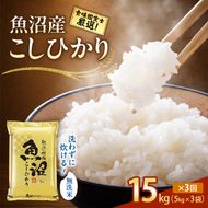 【令和8年産 先行予約】無洗米「3カ月定期便」食味鑑定士厳選！魚沼産こしひかり １５ｋｇ(５ｋｇ×３)×３回 白米 安心 安全 こだわり 米 コシヒカリ 定期 新潟県 十日町市