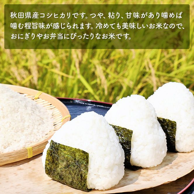 米 無洗米 令和7年産 コシヒカリ 5kg×2 秋田県 にかほ市 お米 こめ
