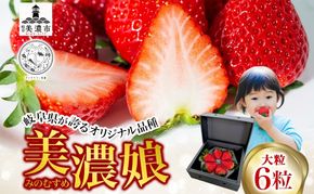 いちご 美濃娘 6粒 150g以上 苺 イチゴ フルーツ 旬 甘い 果物 みのむすめ 国産 おやつ デザート ギフト プレゼント ダイヤベリー美濃 岐阜県 美濃市 お届け:2027年1月1日～3月10日