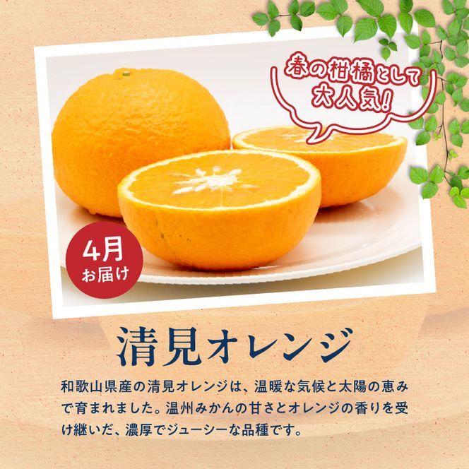 G60-T98_【発送月固定定期便】紀州和歌山産旬のご家庭用柑橘セット(みかん・不知火・せとか・清見)全4回
