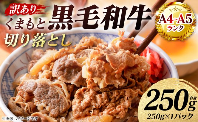 【訳あり】 【A4～A5ランク】 くまもと黒毛和牛 切り落とし 250g （250g×1パック） 和牛 牛肉 お肉 黒毛和牛 牛肩 バラ 冷凍 炒め物 すき焼き しゃぶしゃぶ おかず 熊本県 八代市