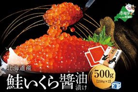 本場「北海道」のいくら醤油漬け500g！ NK002NQ13