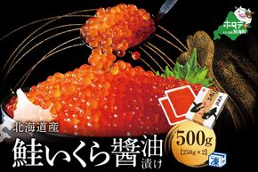 本場「北海道」のいくら醤油漬け500g！ NK002NQ13