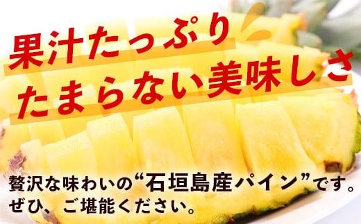 【先行予約】《2026年6月上旬頃より順次発送》石垣島産 ハワイ種 パイン (3玉 約3㎏) 【 産地直送 沖縄 石垣 パイナップル フルーツ 】石垣さんちの石垣トロピカルファーム TP-4