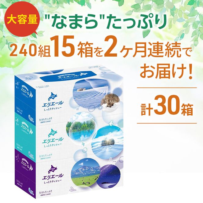定期便 2ヵ月連続お届け エリエール ハーフサイズ 収納に便利 コンパクト 【少量5パック】 北海道 しっとりティシュー なまらたっぷり 240組3箱 5パック 計15箱 ボックスティシュー ふるさと納税限定デザイン