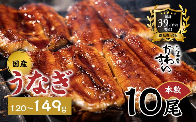 国産うなぎ蒲焼き 10尾（1尾 120～149g）〈うなぎ屋 かわすい〉 ｜ うなぎ 鰻 ウナギ 蒲焼 国産 秘伝のタレ 冷凍 簡単調理 土用の丑の日 人気 お取り寄せ ギフト 贈答用 （A1376-1）