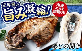 糸島玄界灘産 あじの開き 1枚  糸島市 / 有限会社 糸島海産 / 開き / 肴[AMR008]