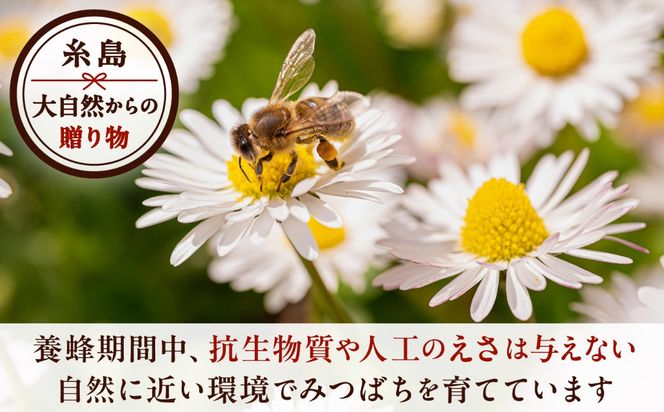 糸島生はちみつ 1個 糸島市 / 糸島げんき工房[AKR001]