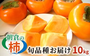 柿 朝倉の柿はじめました。季節の朝倉の柿 約10kg 36-40玉 配送不可 離島 果物 フルーツ 秋の味覚 旬 デザート 果実 おやつ 美味しい品種 厳選 お届け 