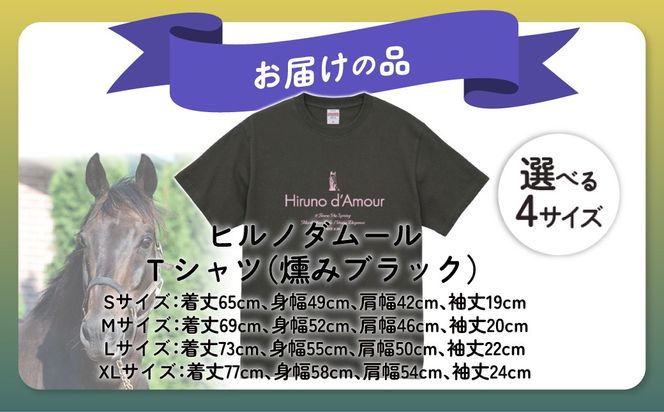 【ヒルノダムール】（燻みブラック）Ｔシャツ 選べる４サイズ BRTV300-v