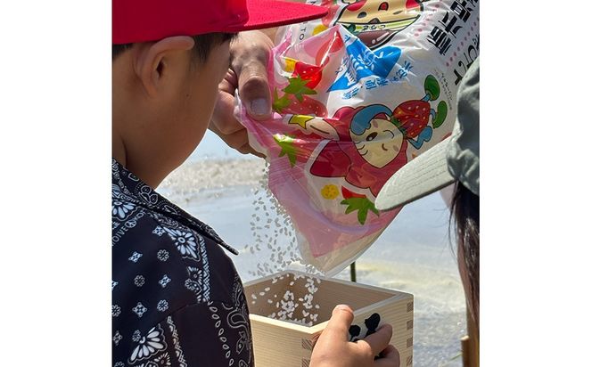 令和7年度産 伊勢ひかり 精米4kg | 白米 栃木 鹿沼市直送