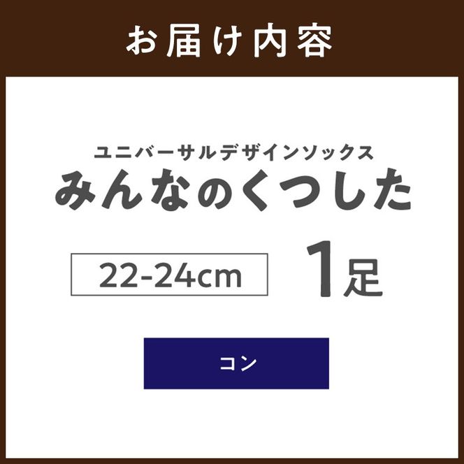みんなのくつした 1足(22-24cm)【コン】《 くつした 靴下 ソックス 加古川市 送料無料 》【2500T16802_02】