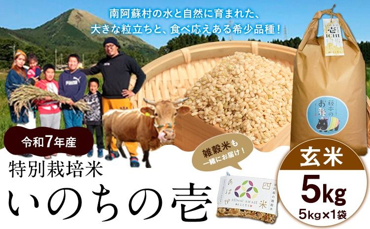 新米 令和7年産 特別栽培米 いのちの壱(玄米)5kg×1 雑穀米付き[10月中旬-11月下旬頃出荷] 熊本県 南阿蘇村 熊本県産 虹色のかば 雑穀米---sms_inci6_k1011_r7_16000_g5kg---