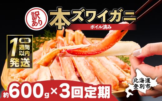 【定期便3回お届け】訳あり 冷凍 ボイル ずわいがに 足 600g ズワイガニ ハーフポーション | ギフト 2025