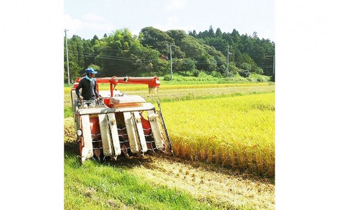 【ふるさと納税】お米　令和7年産　出雲コシヒカリ5k×２袋 322032_EH006
