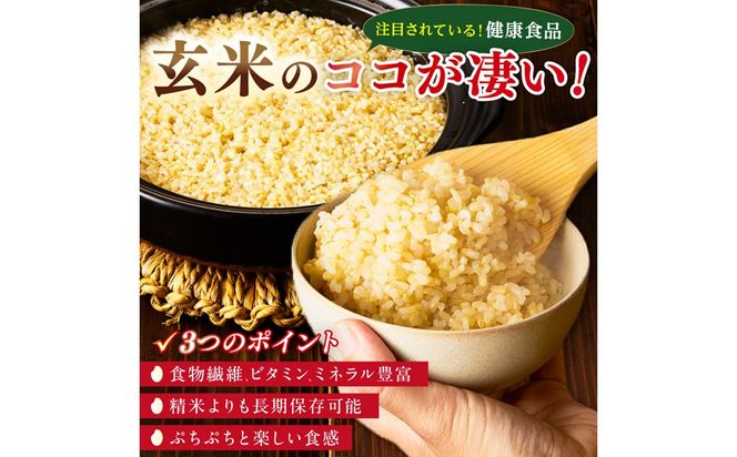 直売所直送「令和7年産　京丹後市産　コシヒカリ」　玄米10kg ふるさと納税 米 玄米 特A 検査1等米 国産 こめ ごはん 京都産 コシヒカリ 農家応援 生産者応援 送料無料　JA00096