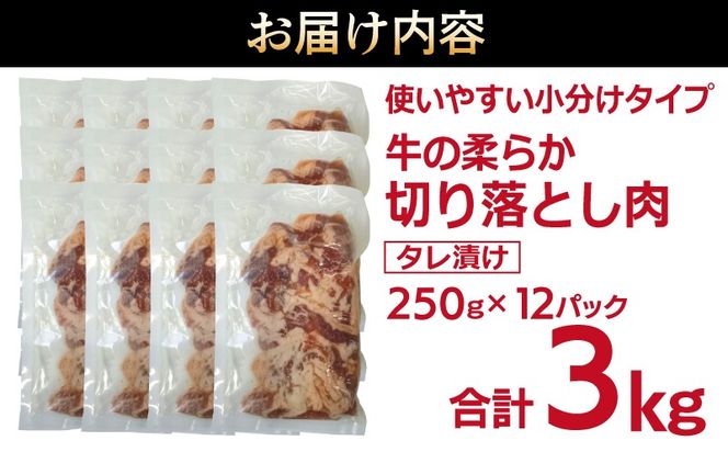 G3387 牛肉 切り落とし タレ漬け 合計3kg【味付け 小分け 焼くだけ 簡単調理 BBQ 牛肉 250g×12袋】