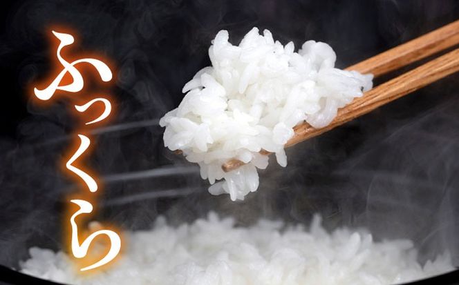 【年内発送】糸島産 ヒノヒカリ 10kg 糸島市 / 平山農園 米 白米 米 白米 ご飯 お米 10kg[AXN006]