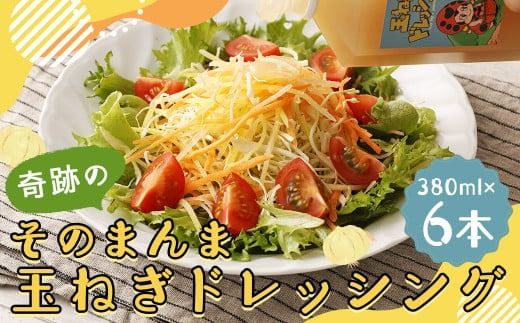 yÖszՂ̂̂܂ ʂ˂hbVO 6{Zbg i380ml×6{j hbVO  Y mIC