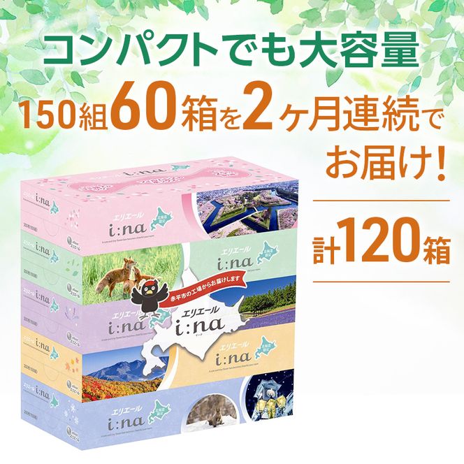 【2ヵ月連続お届け・計120箱】エリエール i:na (イーナ) 北海道 ティシュー 150組5箱 12パック フィルムレス ふるさと納税限定デザイン イーナ ボックスティシュー 箱ティッシュ ペーパー 備蓄品 花粉 赤平市