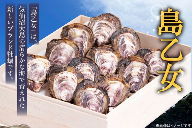 殻付き牡蠣 生食用 三倍体牡蠣 島乙女 約840g 12個入 [カネキ水産 宮城県 気仙沼市 20565985] 牡蠣 期間限定 冷蔵 新鮮 濃厚 カキ かき 生牡蠣 魚貝類 貝 海鮮 魚介類 なべ カキフライ 牡蠣ご飯 魚介