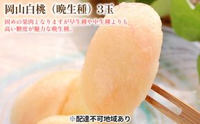 固めの 桃 2027年 先行予約 白桃 晩生種 3玉 合計約900g （1玉約300g） もも モモ 岡山 国産 フルーツ 果物 ギフト 桃茂実苑