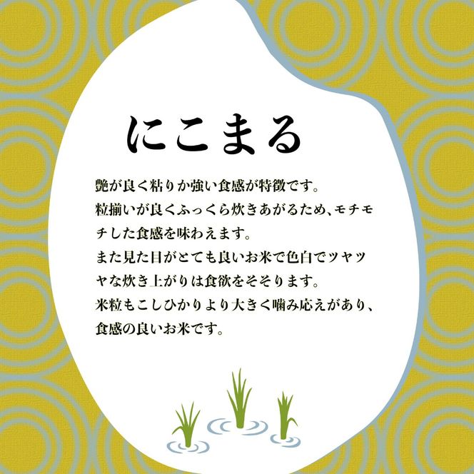 新米 米 にこまる 5kg 農家直送 特別栽培米 精米 令和7年度産 お米 新生活 贈り物 人気米 ご飯 白米 コメ 贈答 静岡県 藤枝市