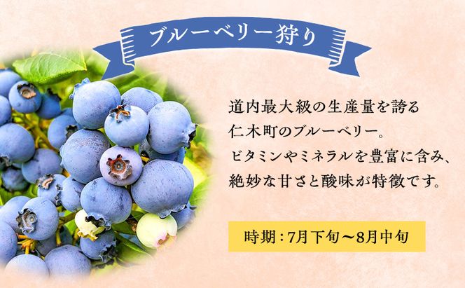 妹尾観光農園 フルーツ狩りチケット4000円 割引 チケット クーポン 利用券 フルーツ 旅行 体験 農園 北海道 仁木町 [フルーツショップ妹尾観光農園]
