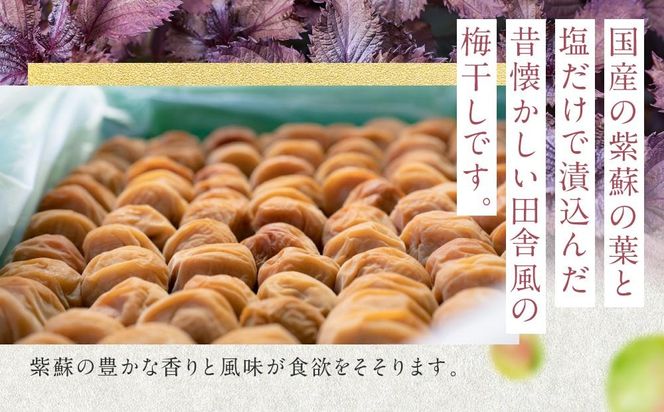 しそ漬梅干し 紀州南高梅 700g ( 350g × 2 ）塩分 約15％ ご自宅の郵便受けにお届け  ご家庭用 	E043