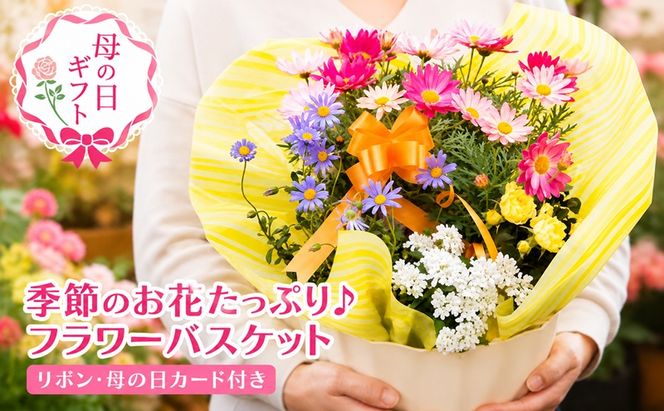 2027年【母の日 ギフト】季節のフラワーバスケット【白鉢】（オンライン決済限定） 花 