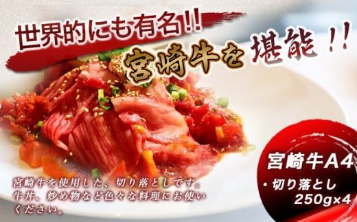 宮崎牛切り落とし1kg_MJ-8908_(都城市) 宮崎県産 宮崎牛 牛肉 A4ランク 切り落とし 切落し 250g × 4パック 小分け  1kg 牛丼 炒め物 便利