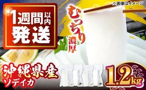 冷凍セーイカ (そでいか) 1.2kg (300g ×4パック) 沖縄市 / 沖縄市漁業協同組合 パヤオ直売店[BCDZ009]