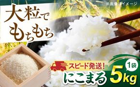【令和7年産】【スピード発送】 にこまる 玄米品質1等米 白米 5kg 糸島市産 糸島市 / 糸島の恵み コメ こめ ご飯[AGR001]