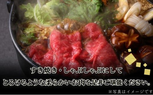 500g【佐賀牛】ローススライス（すき焼き・しゃぶしゃぶ） D-613