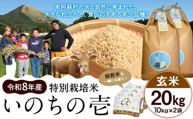 令和8年産 特別栽培米 いのちの壱 玄米 20kg (10kg×2袋) 雑穀米付き 虹色のかば《30日以内に出荷予定(土日祝除く)》熊本県 南阿蘇村 熊本県産 お米 こめ コメ 米---sms_inci6_30d_r8_47000_20kg---