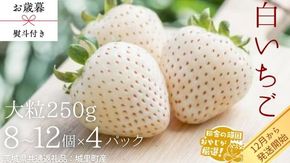 【 お歳暮 熨斗付 】白いちご大粒 250g（8～12粒）×4パック【2026年12月から発送開始】（茨城県共通返礼品 [いちご]：城里町産） いちご 苺 イチゴ 白いちご [BI374-NT]