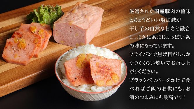 唯一無二 干し芋ミートローフ 380g と 干し芋 寒干し 極 100g×2パック  ほしいも いも 芋 さつまいも さつま芋 お菓子 おやつ スイーツ 甘い 庄七農園 いくとせ ミートローフ ソーセージ 食肉 加工肉 [BK38-NT]