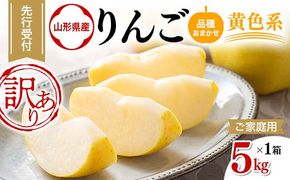 FYN9-969 ご家庭用 山形県産 品種おまかせ りんご 黄色系 5kg 2026年10月上旬から順次発送 リンゴ 林檎 5キロ 果物 くだもの フルーツ 自宅 家庭 訳あり ワケアリ 山形県 西川町 月山