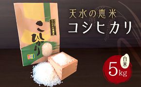 天水の恵米「コシヒカリ」白米5kg お米