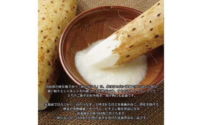 1112.砂丘ながいも1kg 313726_CL001