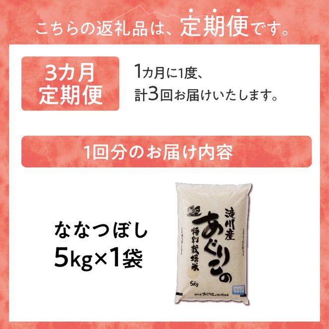 《令和7年産》特別栽培米ななつぼし 5kg×3ヵ月定期便 | 16年連続特A ブランド米 白米 精米 米 お米 こめ 減農薬 単一原料米 ご飯 北海道米 北海道 滝川市